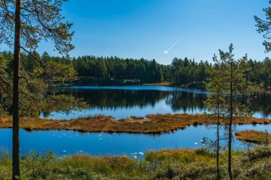 İsveç 'in kuzeyinde ağaçlarla çevrili küçük bir göl boyunca güzel bir yaz manzarası.