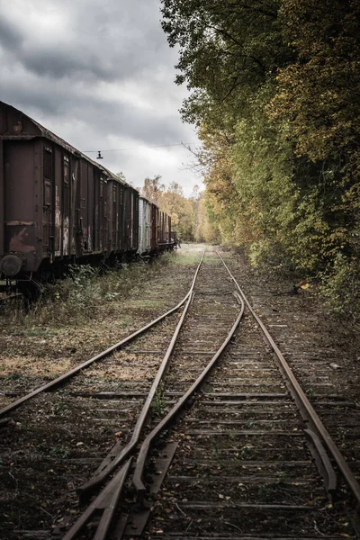 Elhagyatott Vonatszerelvény Még Mindig Régi Vágányon Áll Fák Bokrok Kezdenek — Stock Fotó