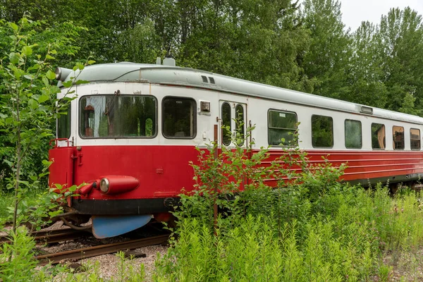 Elhagyott Piros Vasút Vagy Vonat Áll Egy Régi Benőtt Pályán — Stock Fotó