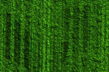 Güzel fırçalanmış dokuya sahip yeşil renkli soyut arkaplan dokusu