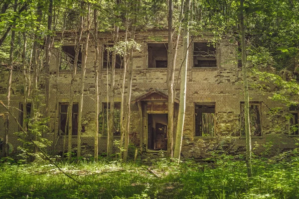 一座矗立在青翠茂密的森林中间的旧建筑 完全被大自然摧毁了 周围长满了树和灌木 — 图库照片