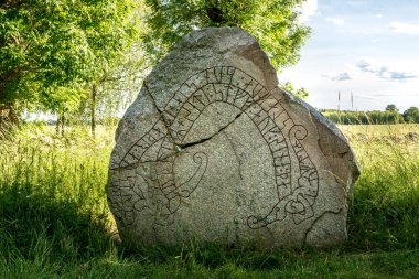 Yılan şeklinde bir mesajı olan eski ve çatlak bir rün taşı. Vikinglerin zamanından beri, bir ağacın gölgesinde, yeşil bir yaz tarlasında dikiliyorum.