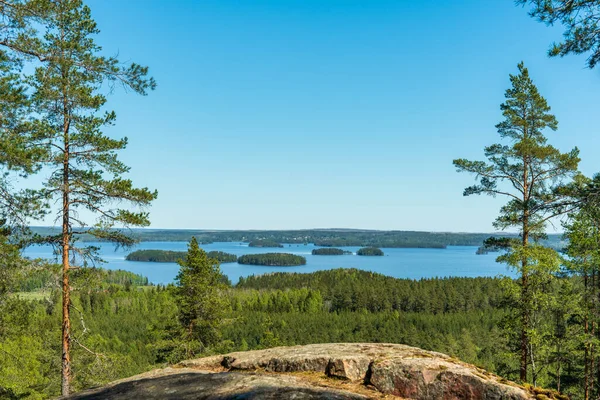 从瑞典高耸的湖面上俯瞰风景 湖面两边都是松树和冷杉林 — 图库照片