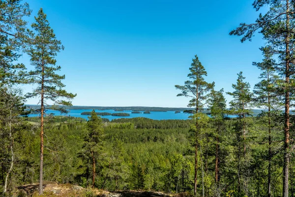瑞典一个夏天的自然景观 它取材于一座横跨湖面的山 湖面两边都有松树和冷杉林 — 图库照片