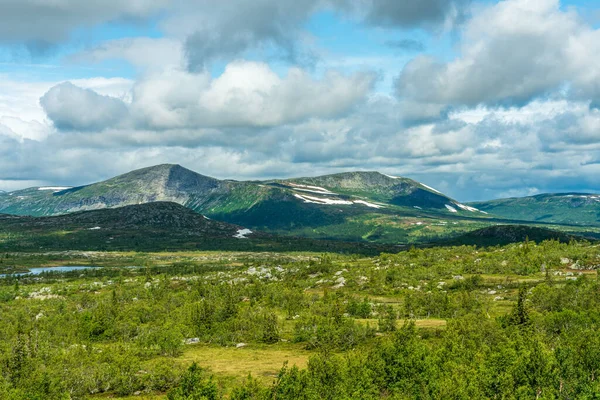 从瑞典高地眺望美丽的风景 山顶上还有剩余的积雪 夏日阳光下生长着低矮的绿树 — 图库照片
