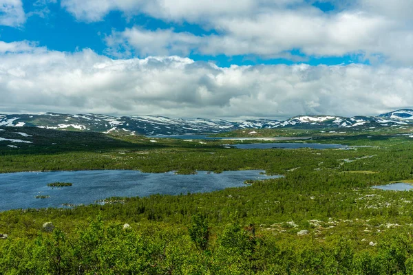 Belle Vue Sur Nature Immensité Des Hautes Terres Suédoises Avec — Photo