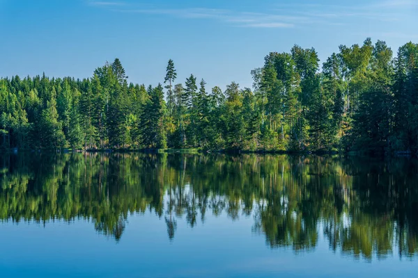 Piękny Letni Widok Jezioro Lesie Szwecji Błękitnym Niebem Słońcem Bujną — Zdjęcie stockowe