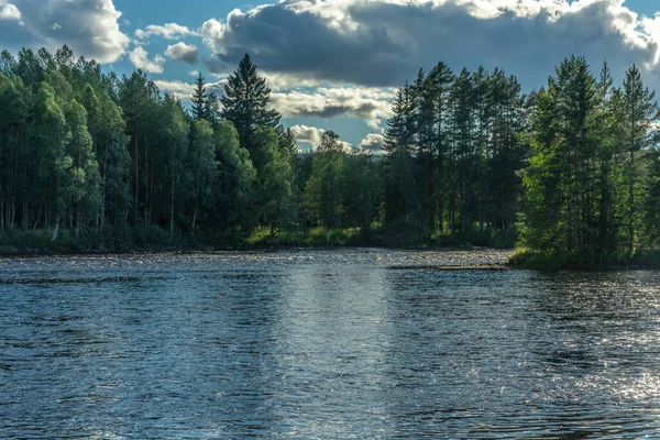 스웨덴 동부를 가로지르는 아름다운 경치를 수있다 나무들 — 스톡 사진