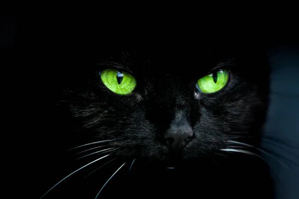 Yakından Bakınca Parlak Yeşil Gözleri Olan Siyah Bir Kedinin Portresi — Stok fotoğraf