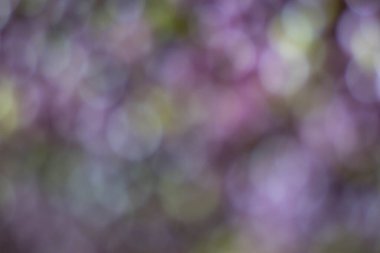 Güzel yumuşak bokeh 'ten mor ve sarı soyut daire deseni