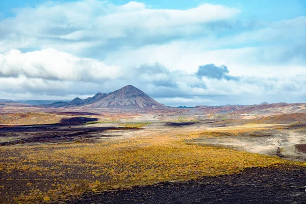 Beautiful Autumn View Field Bright Yellow Bushes Growing Lava Field — стоковое фото