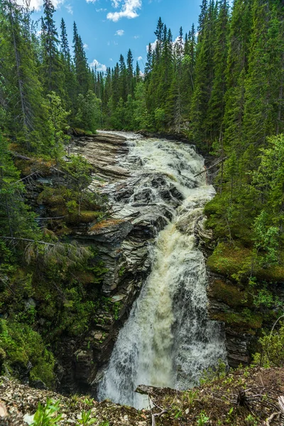 Belle Vue Été Ruisseau Dans Les Hautes Terres Suédoises Qui — Photo