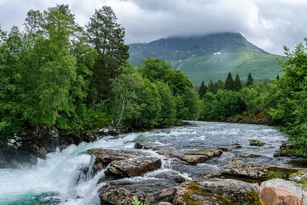 ノルウェーの山の中で高い川 緑豊かな植生を通過する新鮮な流れる水と — ストック写真