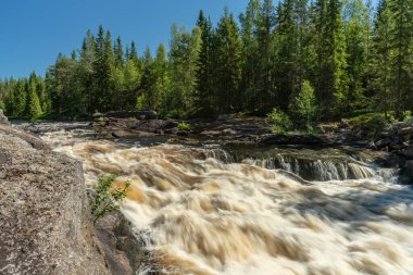 İsveç yeşil ormanlarının içinden akan sularla dolu güzel bir yaz manzarası.