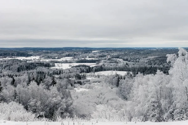 Hoge Hoek Uitzicht Een Bevroren Bos Landschap Van Een Koud — Stockfoto