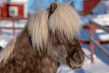 İsveç 'teki eski ve çürümüş bir maden ocağının iskeleti ya da bacası uzun zaman önce kapanmış. Bahar güneşinde mavi gökyüzü ve yemyeşil ağaçlar