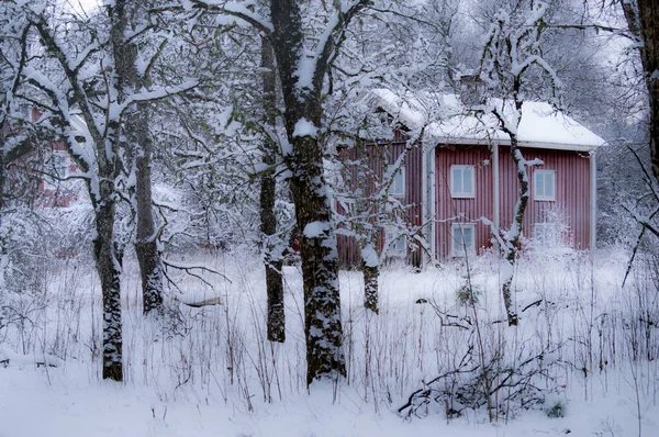 Ледяной Старый Дом Северной Сельской Местности Середине Зимы Морозом Окнах — стоковое фото