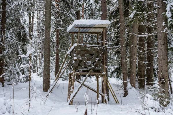 Tower Camouflage Net Middle Forest Wintertime — Stock Photo, Image