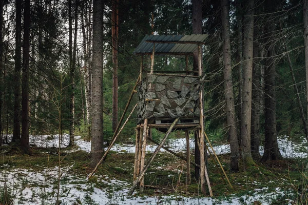 Avlanmak Için Gözetleme Kulesi Ormanın Derinliklerinde Duruyor — Stok fotoğraf