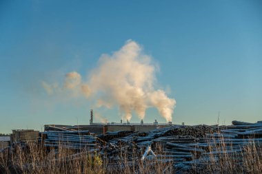 İsveç 'te bir kereste endüstrisinin manzarası. Çok sayıda duman tabakası havaya gri duman salıyor. Çevreyi kirletiyor..