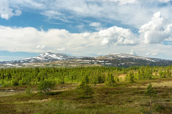 夏天美丽的雪景覆盖了瑞典北部很远的山峰 就在树边 在通往挪威的边境 — 图库照片