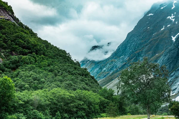 Przełęcz Górska Norwegii Jedna Naga Góra Jedna Zielona Pokryta Drzewami — Zdjęcie stockowe