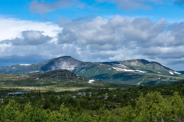 从瑞典高地的浩瀚景色中可以看到美丽的风景 山顶上还有剩余的积雪 夏日阳光下生长着低矮的绿树 — 图库照片