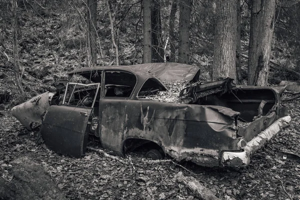 Stary Pojazd Lat Pięćdziesiątych Porzucony Dawno Temu Pozostawiony Rdzewieć Lesie — Zdjęcie stockowe