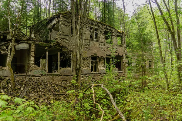 在瑞典 一座废弃的房子矗立在一片绿林中间 被大自然完全荒芜和摧毁 这种奇怪的景象 — 图库照片