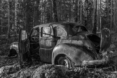 İsveç kırsalındaki bir ormanda duran eski bir İngiliz arabası. Terk edilmiş ve çevreyi paslandırmaya ve kirletmeye terk edilmiş.