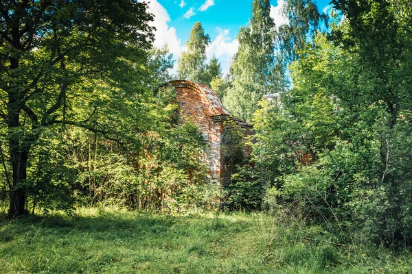 Oude Verlaten Bakstenen Gebouw Diep Het Bos Bedekt Met Dikke — Stockfoto