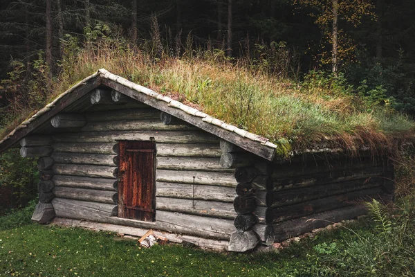 Παλιά Καμπίνα Στη Σουηδική Ύπαιθρο Γρασίδι Αυξάνεται Στην Οροφή — Φωτογραφία Αρχείου