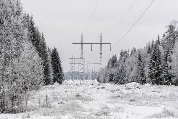 Türme Mit Hochspannungsleitungen Führen Winter Durch Einen Wald Schweden — Stockfoto