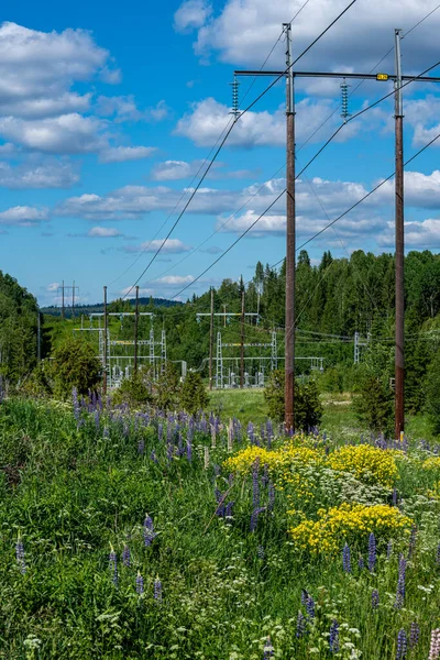 Лінія Електропередач Перетинає Сільську Місцевість Швеції Чудовий Літній День Буйними — стокове фото