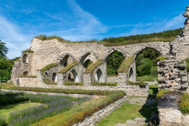 İsveç, Alvastra 'da bulunan bir ortaçağ manastırı veya manastırı harabesi