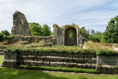 İsveç, Alvastra 'da bulunan bir ortaçağ manastırı ya da manastırı harabesi. Güzel güneşli bir yaz gününde yeşil çimenler ve mavi bulutlu gökyüzü