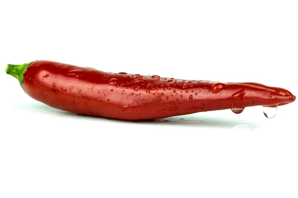 Close Van Een Rode Chili Peper Wit Met Vocht Water — Stockfoto