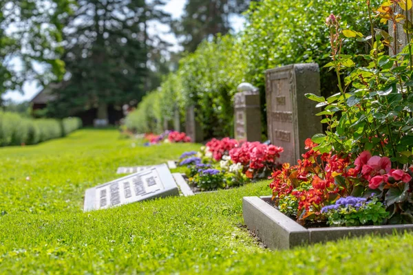 Sun Shining Row Gravestones Red Pink Flowers Beautiful Well Cared — Stock Photo, Image