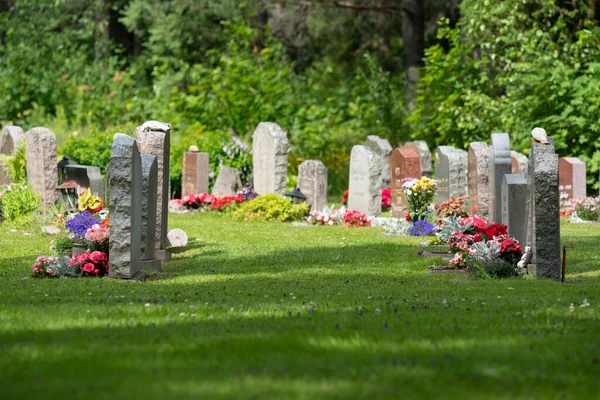 Sol Brillando Filas Lápidas Con Flores Colores Hermoso Cuidado Cementerio —  Fotos de Stock