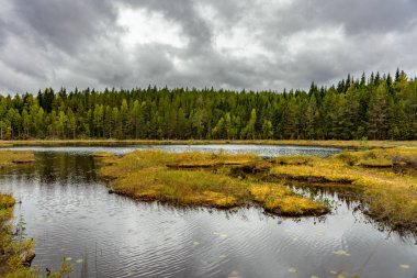 İsveç 'te küçük bir göl ya da tarn bulutlarla kaplanmak üzere ve parlak bir ışık ve arka planda yeşil bir orman var.