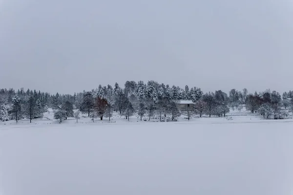 Blanco Vista Invierno Través Pastel Cubierto Nieve Suecia Otro Lado — Foto de Stock