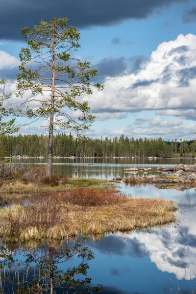 Чудовий Краєвид Рибальське Озеро Швеції Острівцями Скелями Небом Відбивається Чистій — стокове фото