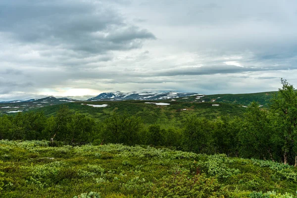 在广阔的瑞典高地 美丽的夏日景色 低矮的绿色植被 雪地残存 覆盖着远方的山顶 — 图库照片