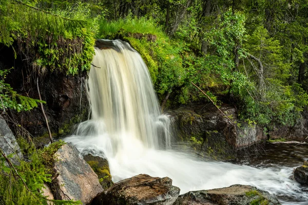 Belle Petite Cascade Milieu Une Forêt Suède Avec Eau Douce — Photo