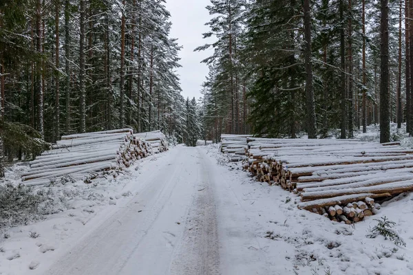 Stacks Timber Side Small Winter Road Forest Sweden — Stock Photo, Image