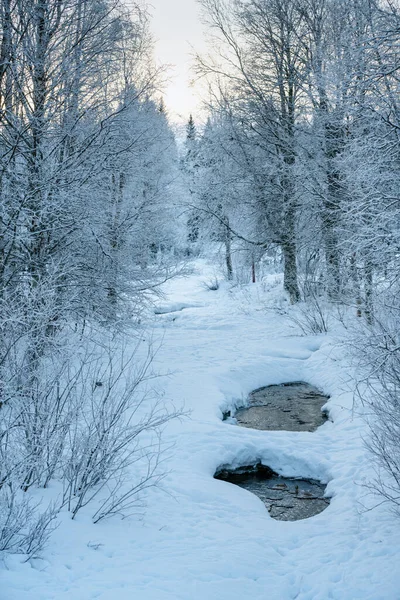 Strumień Lub Mała Rzeka Zamarzniętej Północnej Szwecji Pokryta Śniegiem Lodem — Zdjęcie stockowe