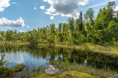 İsveç 'in kuzeyindeki küçük bir göl ya da tarn' ın güzel yaz manzarası. Güneşli bir yaz gününde mavi gökyüzü, yeşil ağaçlar ve güneş ışığı