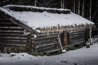 Kışın ottan yapılmış çatısı olan eski İsveç kereste kulübesi.