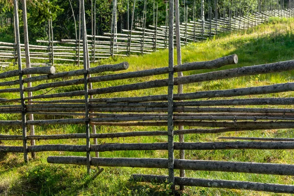 スウェーデンの田舎の農場からの古いと典型的なフィールドフェンス 松の木の棒から作られ 太陽の下で緑のフィールドを囲む — ストック写真