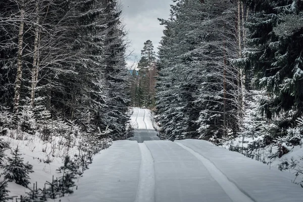 Vuile Weg Door Een Winterbos Ongeploegd Met Diepe Sporen Van — Stockfoto